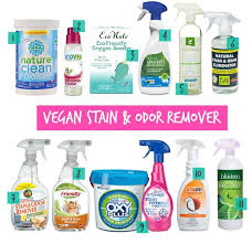 Biokleen Bac Out Stain And Odor Remover Ultimate Vegan Laundry Detergents And Products Guide Vegan Laundry Detergent Cruelty Free Laundry Products Cruelty Free Cosmetics