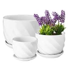 Create an indoor garden oasis with our range of plant pots & stands. Yinger Wg Set Of 3 Ceramic Plant Pot Flower Plant Pots Indoor With Saucers Small To Medium Sized Round Modern Ceramic Garden Flower Pots White Buy Online In China At China Desertcart Com Productid