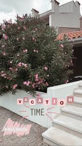 486c3538 Pin By Iris On Ig Stories Creative Instagram Stories Instagram Story Insta Instagram Bildideen Instagram Ideen Bilder Instagram Foto Ideen