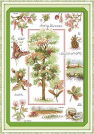Below are the main pattern categories to help you begin. Joy Sunday Botanical Garden Cross Stitch Pattern Kits Handcraft Make Embroidery With Chart Joy Sunday Cross Stitch Kitscross Stitch Embroidery Aliexpress