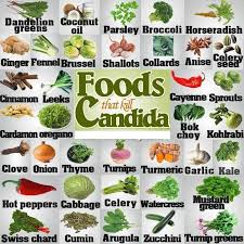 If you're delving into a candida protocol, you need to learn the seven foods to ditch on a candida diet. 25 Candida Ideas Candida Candida Diet Candida Cleanse