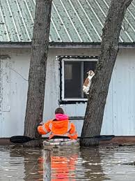The ice storm left sections of Radnor Lake unrecognizable. The ...