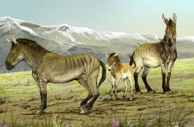 Ancient DNA Shakes Up Horse Family Tree | Paleontology | Sci-News.com