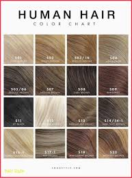 Sallys Hair Color 23 Veritable Ion Color Chart For Hair