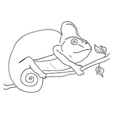 More 100 coloring pages from animal coloring pages category. Chameleon Coloring Pages Free Printables Momjunction