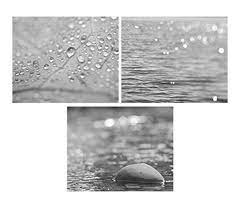 Make it sleek and modern or warm and traditional. Amazon Com Bathroom Wall Decor Black And White Photographic Prints Grey Wall Art Modern Bathroom Artwork Spa Room Wall Decor Pictures Set Of 3 Prints 20 Off Discount Handmade