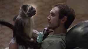 Mountain Dew Kickstart Super Bowl Commercial Puppymonkeybaby Short 2016 Imdb