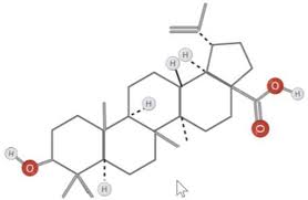 Image result for Diospyros usambarensis