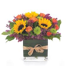 Maybe you would like to learn more about one of these? Red Rose Flowers Local Salinas Ca Florist Flower Gift Delivery