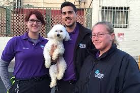 Please know that your support saves lives. Riverside County Department Of Animal Services Paws First Rescue