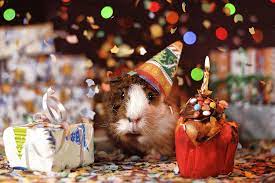 Health and wellbeing discounts for over 60s once you reach 60, you can get free prescriptions and nhs sight tests in england. Freebies Discounts For Over 60s Oaps 2020 Financial