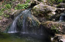 Get there early and rent a kayak for the morning or the day. Ultimate Hot Springs National Park Travel Guide Bearfoot Theory