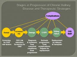 Consultant nephrologist midlands regional hospital, tullamore. Chronic Kidney Disease Pathophysiology Ppt