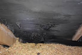 Image result for site:byggahus.se ekofiber kallvind