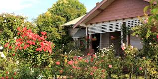 Neighbors Installed a Camera Aimed at My Garden – I Taught Them a Savage Lesson  Without Going to Court