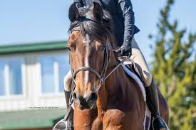 What a way to kick off the 2025 season 📸🤍 All images seen were taken for  TG Film & Photo and are available to purchase through him! Next show is  just two