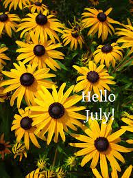With types of wildflowers including purple wildflowers, yellow wildflowers, wild white flowers, berry stems, and artificial berries your fake flower arrangement will look fresh cut from the field, but last forever! Peterboro Basket Co Peterborobasket Twitter