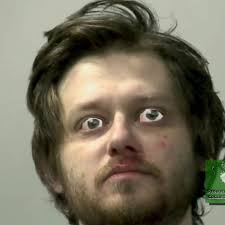 Rob Steinberg (@stobreinberg) • Instagram photos and videos