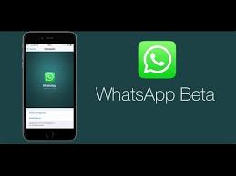 Latest whatsapp beta finally brings dark mode (apk download) . 100 How To Download Beta Version Whatsapp For Android Youtube