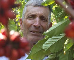 Mer än bara överleva