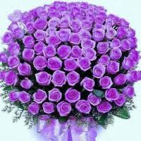 Colegiul national emil racovita iasi olimpiada judeteana lectura ca abilitate de viata. OpÅ£ional Lectura Si AbilitÄƒÅ£ile De ViaÅ£Äƒ 25august2010 28 05 2018