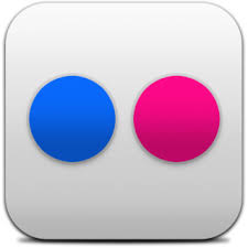 The current status of the logo is active, which means the logo is currently in use. Flickr Logo Png Flickr Logo Transparent Background Freeiconspng