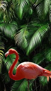 Designer Adli Kullanicinin Mint Flamingo Panosundaki Pin Tropikal 3d Boyama Resim Duvari