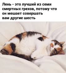 Check spelling or type a new query. Prikolnye Smeshnye Kartinki Pro Len Memy Pro Len