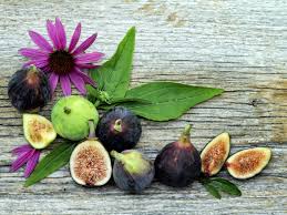 On the other hand, the dried form of fig is easily. Figs Health Benefits Nutrition Organic Facts