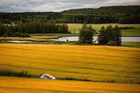 Finland also forms a symbolic northern border between western and eastern europe. Isolation May Be The Making Of Finnish Rally Drivers Autocar