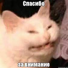 Maybe you would like to learn more about one of these? Spasibo Za Vnimanie Mem Kot Fotoblogs24 Blogspot Com