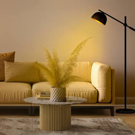 Warm White vs Cool White Lights: What's the Difference? | Crompton