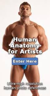 You will find here more than 282,000 photos of poses for your artworks. Human Photo References And Textures For Artists 3d Sk