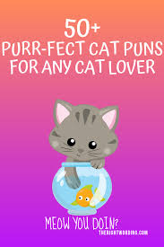 I need help with a drug free pun! 50 Hiss Terically Purr Fect Cat Puns For Any Cat Lover
