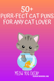 We here at list25 thought, why not dedicate an entire list to punning it up with some cats?. 50 Hiss Terically Purr Fect Cat Puns For Any Cat Lover