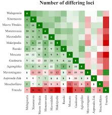 Image result for Disperis sp. nov. aff. macowanii