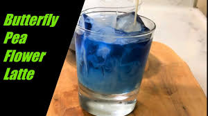 Butterfly pea flower tea comes from asian blue pea flower, also known as the pigeonwings (clitoria ternatea). Butterfly Pea Flower Tea Latte East Greets West Cookery Youtube