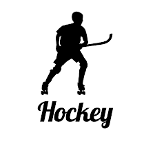 Disciplines hoquei patins patinatge artístic patinatge velocitat hoquei línia freestyle alpí en línia roller hoquei patins. No Todos Los Goles Bonitos Son Hockey Patines Best