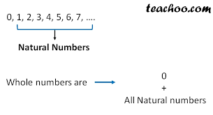 Whole numbers include natural numbers (that begin from 1 onwards), along with 0. What Are Whole Numbers Definition Examples And More Teachoo