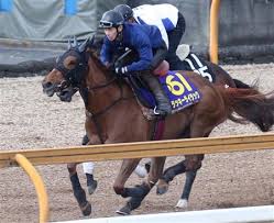 4:12 hkdlcc 4 116 просмотров. å¤§å‚æ¯ ã‚ªãƒ«ãƒ•ã‚§å¨˜ãŒï½‡ï½‰ä»•ä¸Šã' ãƒ©ã‚¤ãƒ©ãƒƒã‚¯çµ±ä¸€å¥³çŽ‹ã¸ ã‚µãƒ³ã‚¹ãƒzbat ç«¶é¦¬