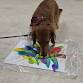 Dog craft night! Paws & Claus: Pet Paint ... event in Canton, OH