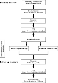 Flow Chart Describing The Study Flow Assessments And