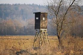 Maybe you would like to learn more about one of these? How To Build An Inexpensive Hunting Blind Whitetail Properties
