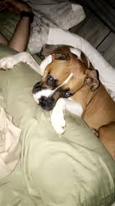 Still missing from Jackson county, WV. Last seen