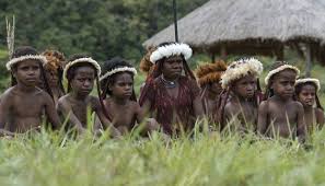 Jul 27, 2020 · dayak, asmat, dan dani merupakan contoh keragaman … bangsa di indonesia. Suku Dani Berasal Dari Greatnesia