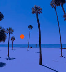 Palm Trees Purple Sunset By Fred Bahurlet Wamdesign Mipic In 2020 Blue Aesthetic Purple Sunset Blue Aesthetic Pastel