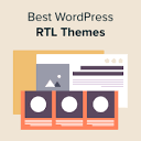 21 Best RTL WordPress Themes (Right to Left Language) 2024