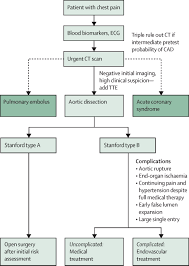 Management Of Acute Aortic Dissection The Lancet