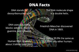 Maybe you would like to learn more about one of these? 20 Dna Facts Fun Facts About Dna