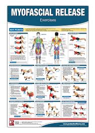 Myofascial Release Chart Poster Foam Rolling Chart Muscle Massage Myofascial Release Poster Muscle Roll Foam Roller Exercises Myofascial Release Myofascial